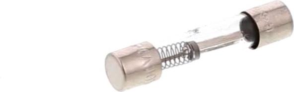 FUSIBLE Micro onde 10A 250V
