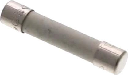 FUSIBLE Micro onde 10A