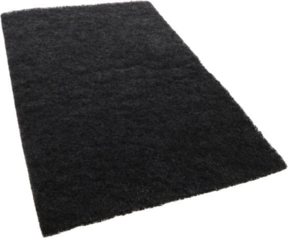 FILTRE Hotte CHARBON 445*280